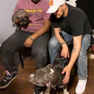 Meet your Posher, Alexander